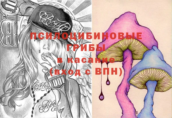 ешки Абаза