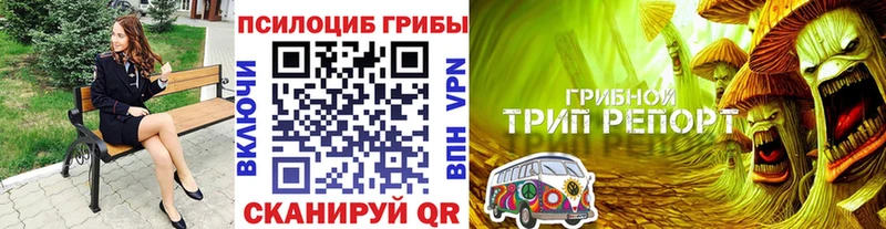 Галлюциногенные грибы мухоморы  сколько стоит  Шахунья 